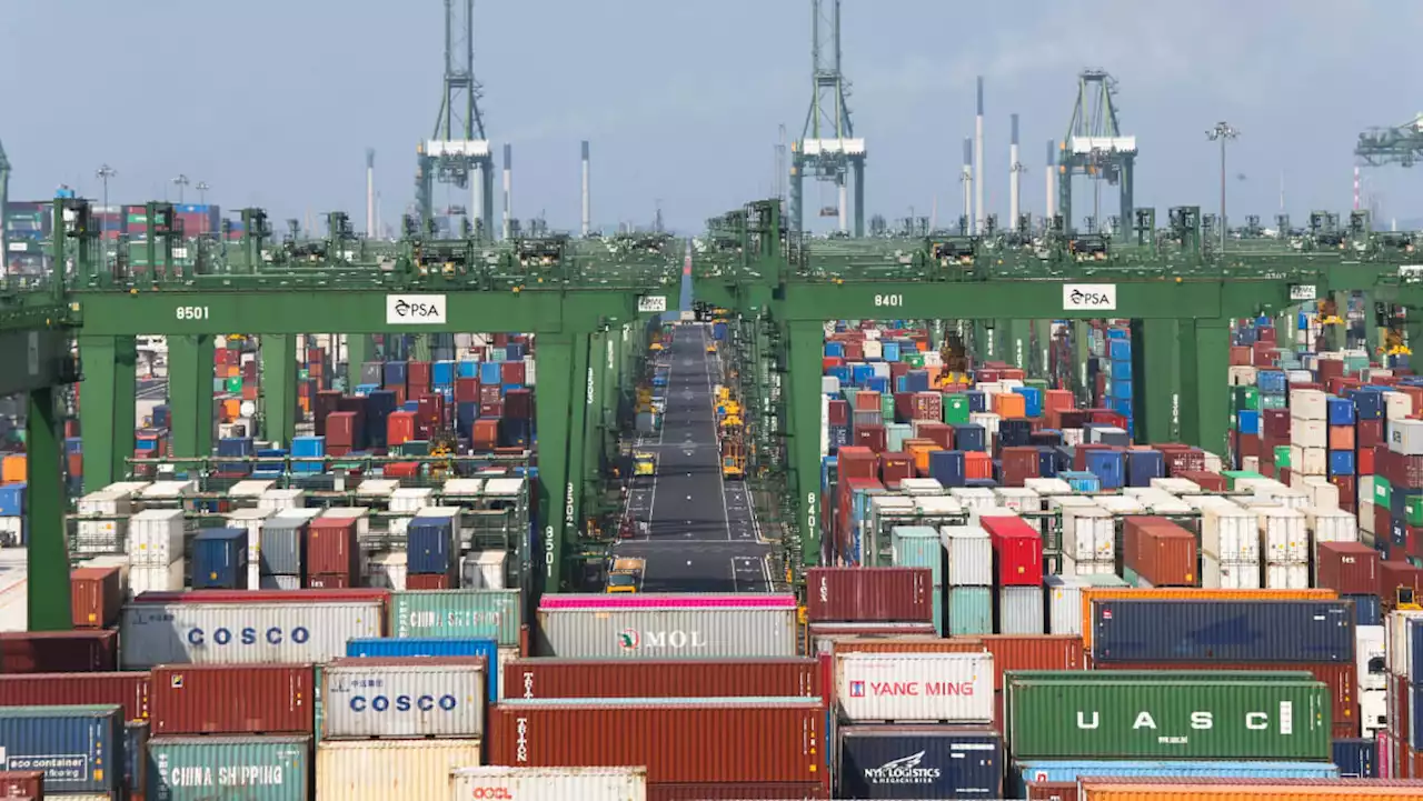 Singapore's key exports fall by 20.2%; 10th consecutive month of decline