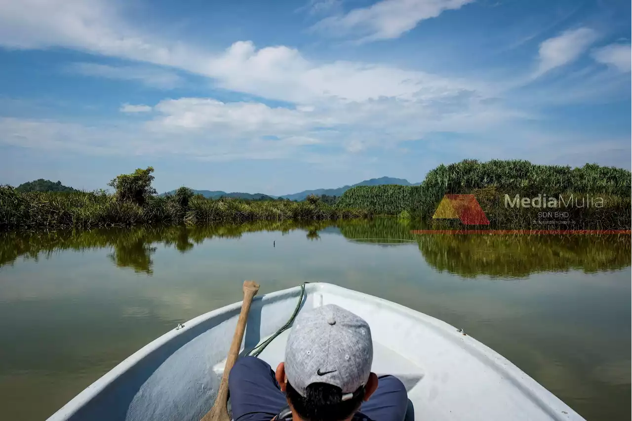 Bolehkah Tasik Chini kembali ‘pulih’?