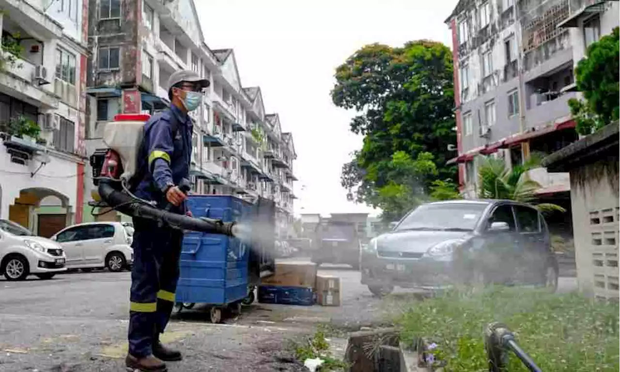 Pekerja asing antara punca denggi meningkat di Melaka