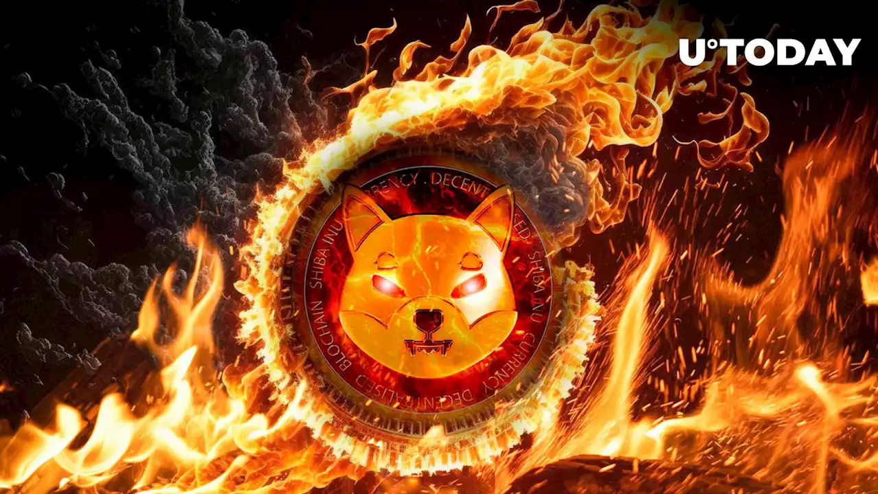 SHIB Army Burns Close to 100 Million SHIB Despite Massive Price Crash