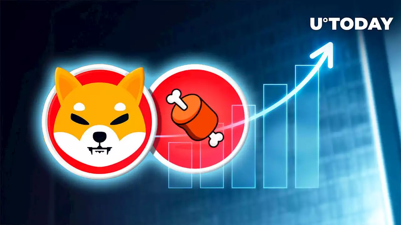 Shiba Inu's BONE Surges 8% Today After Key Shibarium Update