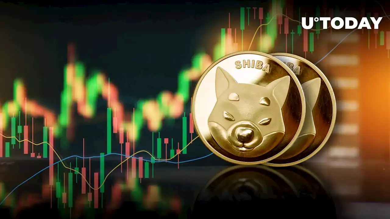 Shiba Inu (SHIB) Sees Spike in This Area Amid Broad Sell-off