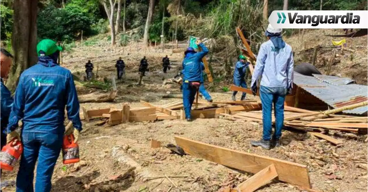 Recuperan predio en Bucaramanga arrasado por los invasores