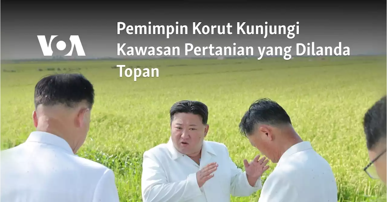 Pemimpin Korut Kunjungi Kawasan Pertanian yang Dilanda Topan