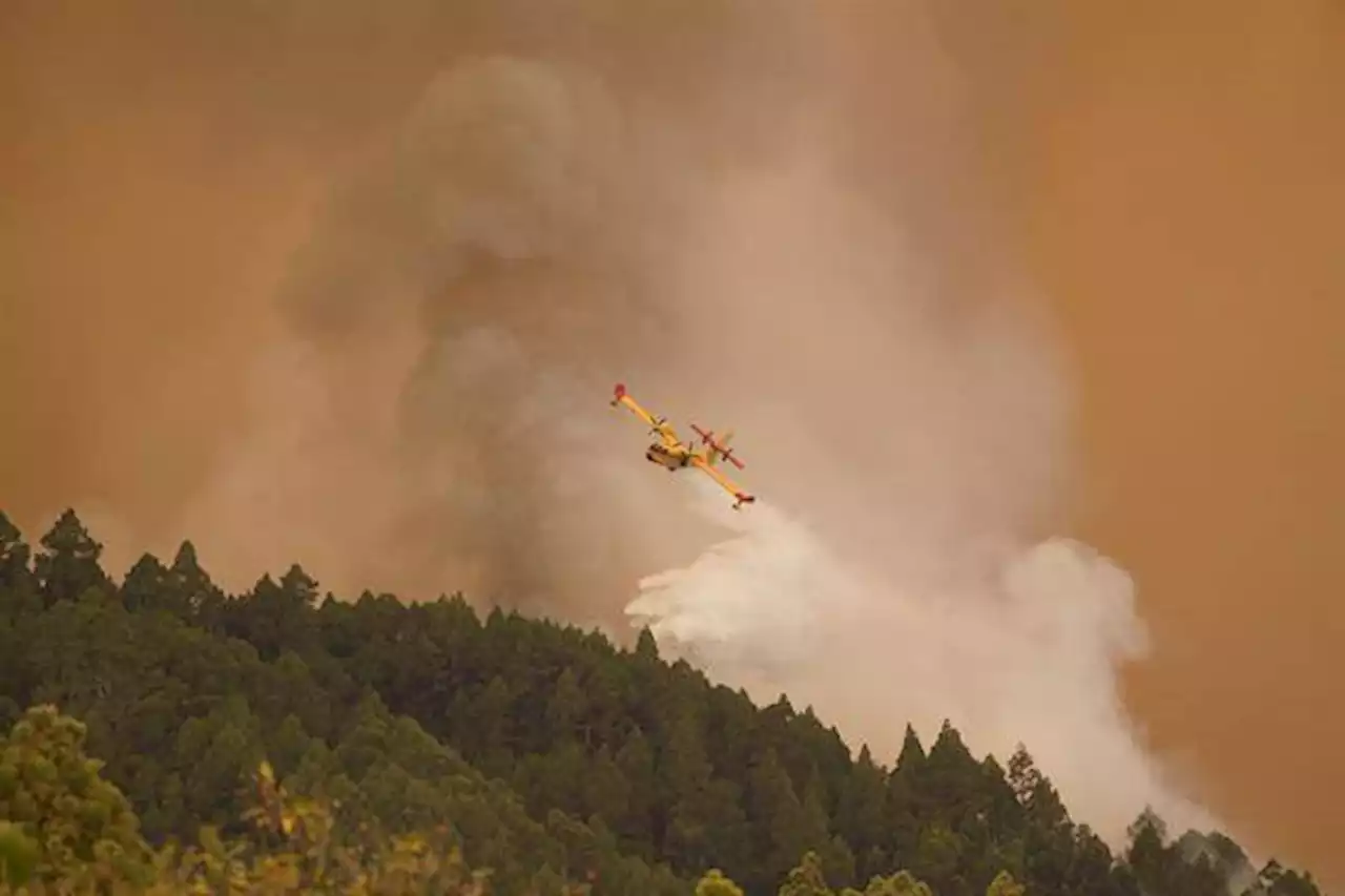 Incendios en Tenerife, España: 3.000 personas evacuadas y más de 3.500 hectáreas quemadas