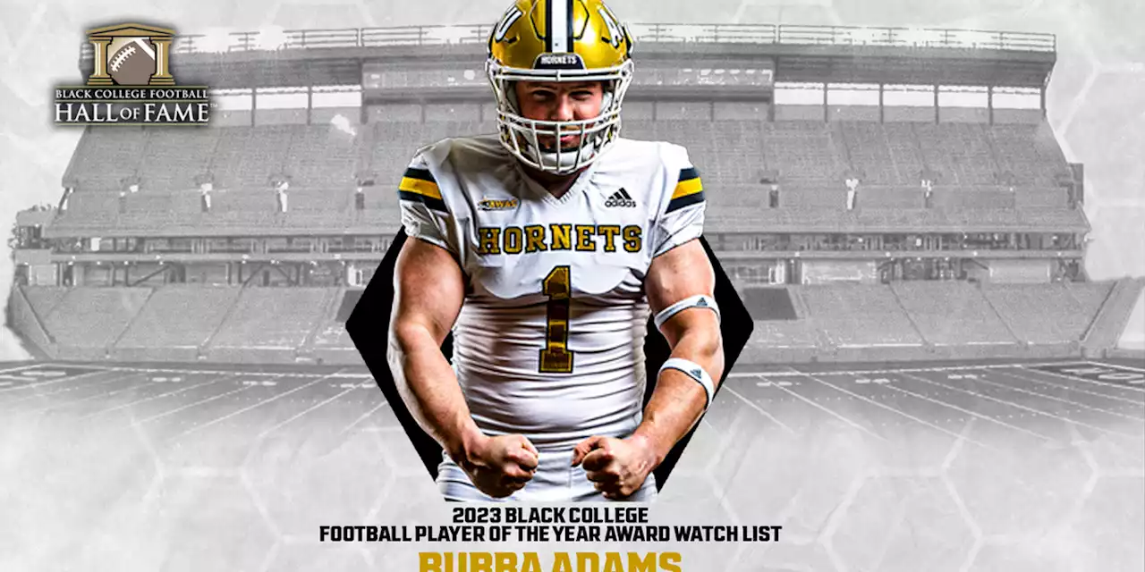 Colton Adams named to BCFHOF Player of the Year watchlist