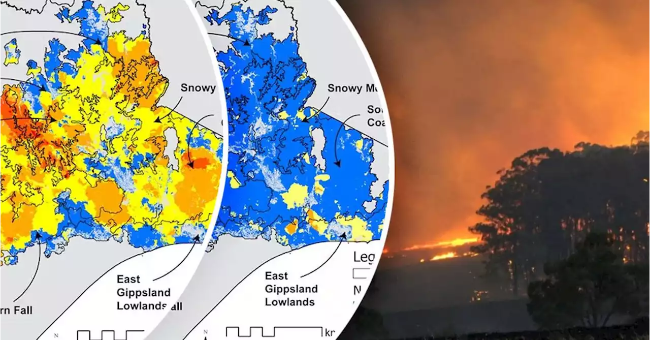 Victorian bushfires have become 'shockingly more frequent'