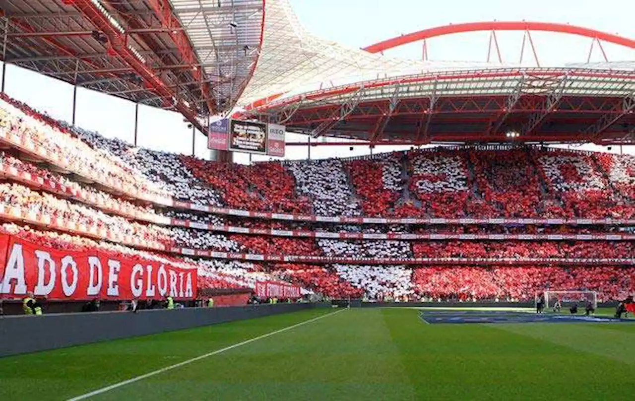 Toda a análise do Benfica-Est. Amadora em A BOLA DE SÁBADO (22.00 h) (A BOLA TV)