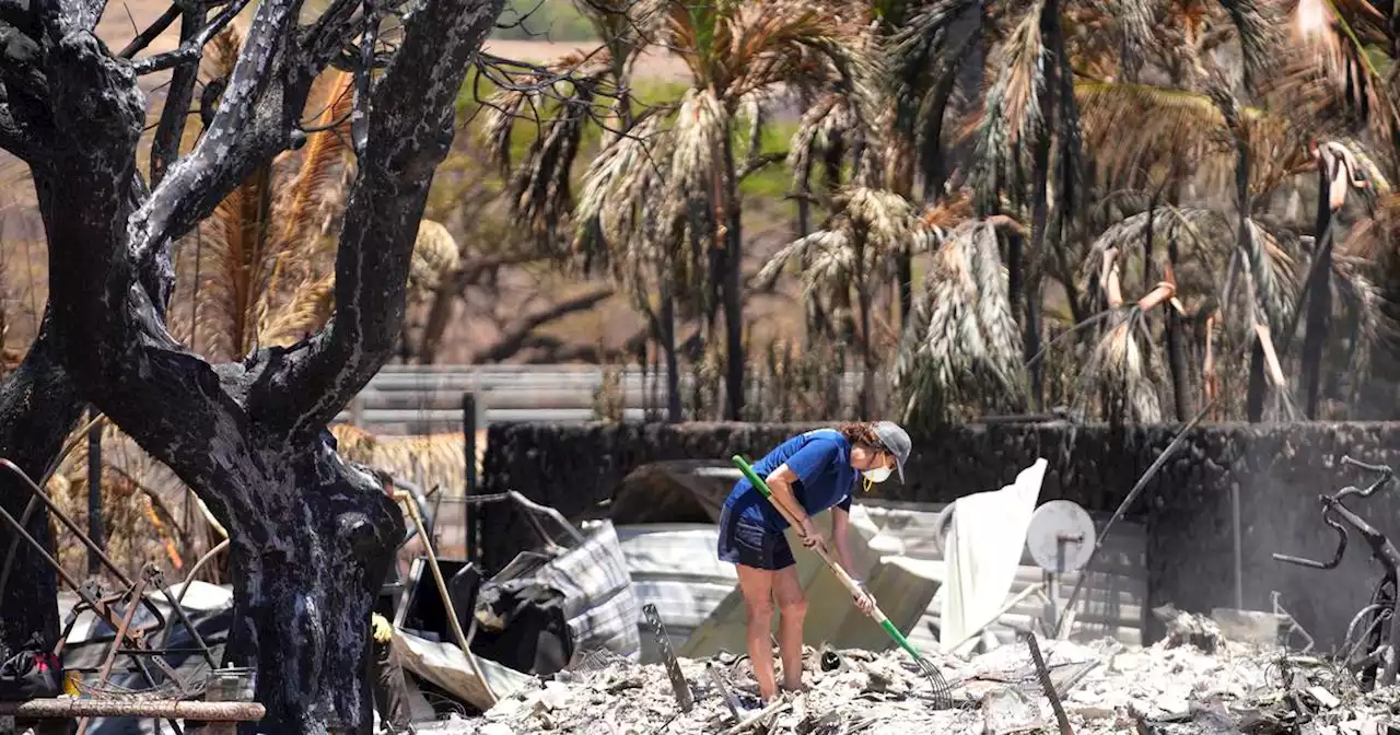 The toxic aftermath of the Maui fires could last for years