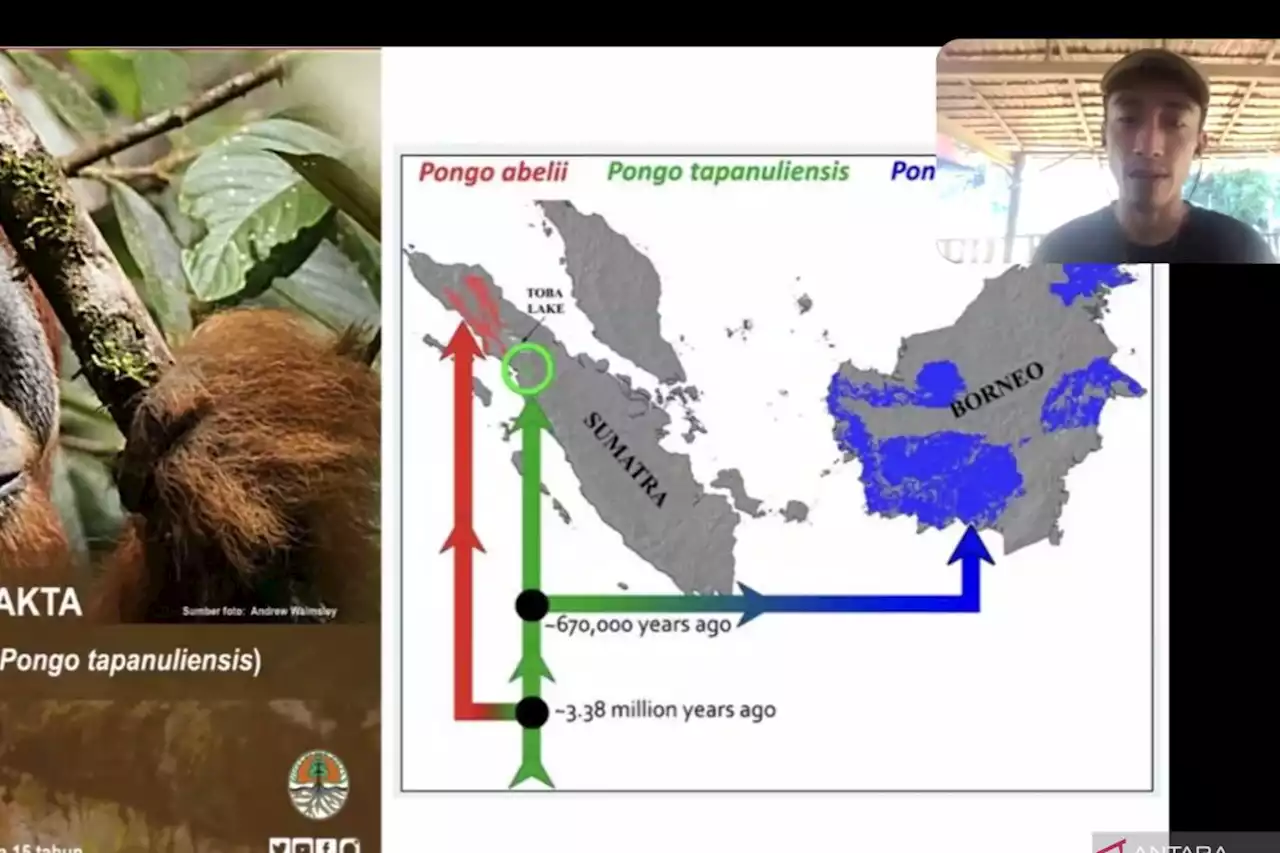 Konservasi orang utan dimulai dari jamin ekonomi warga sekitar hutan