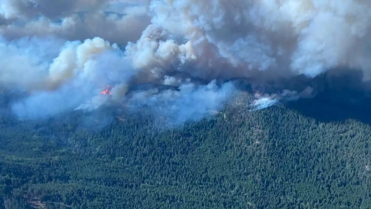 Waldbrände in Kanada: British Columbia erklärt den Notstand