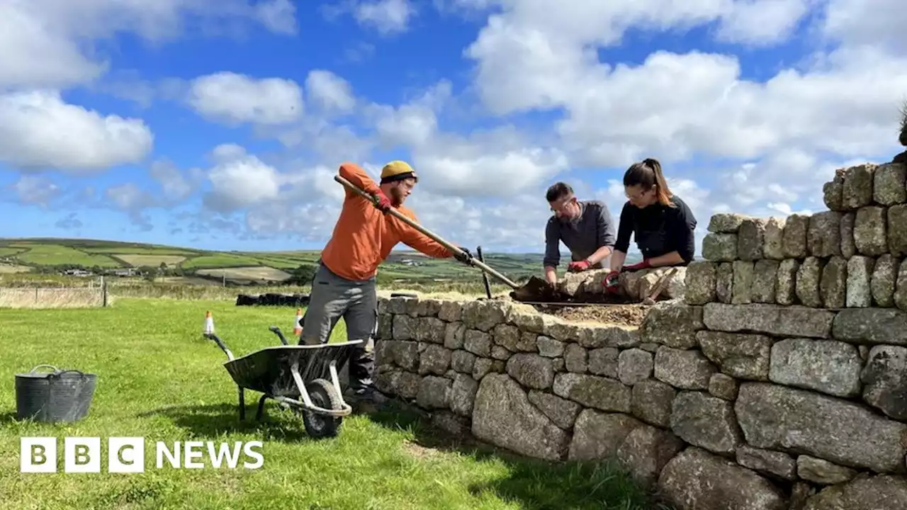 Bringing back endangered craft of Cornish hedging