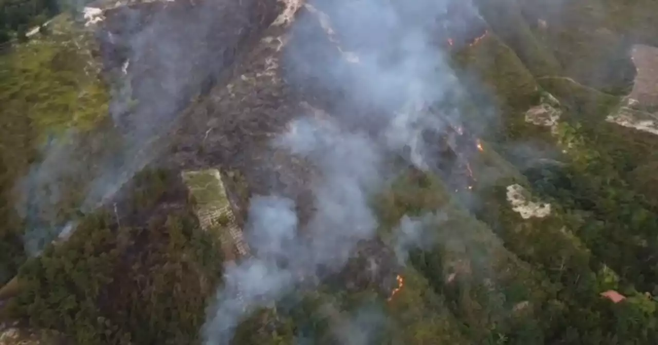 Incendio forestal en Piedecuesta arrasó con 35 hectáreas de bosque virgen