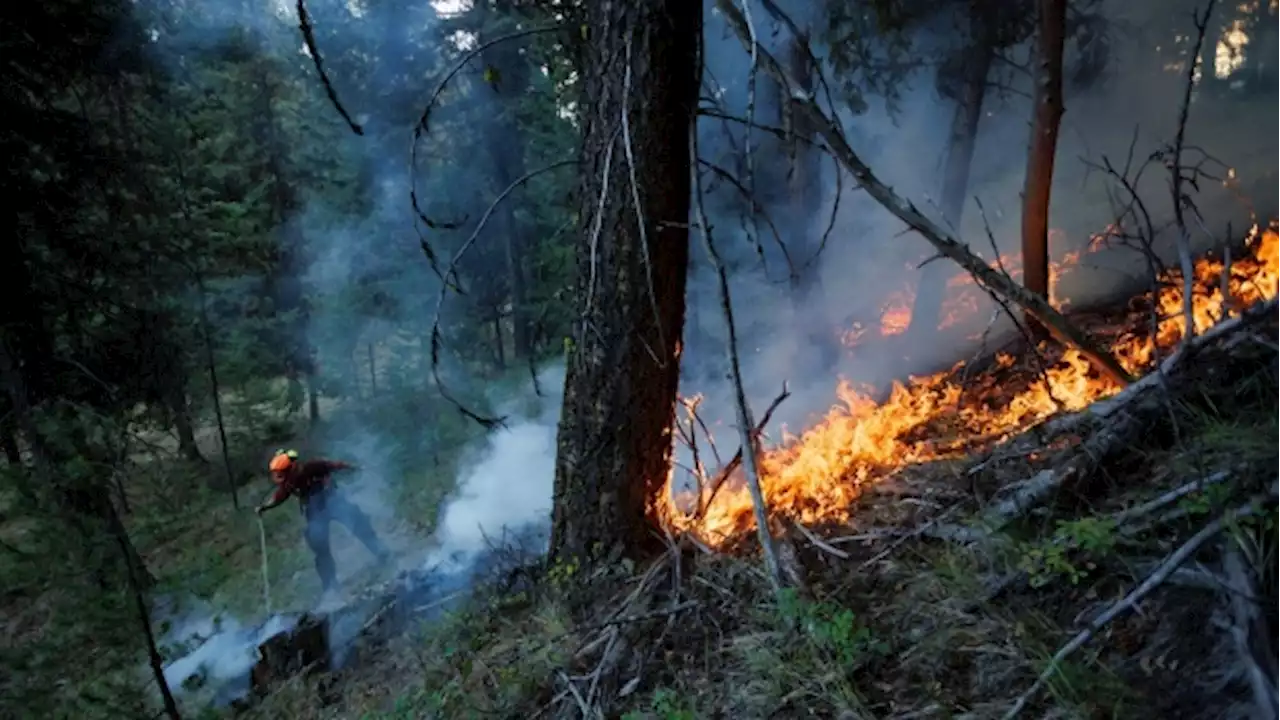 British Columbia Declares Fire Emergency With Thousands Evacuated