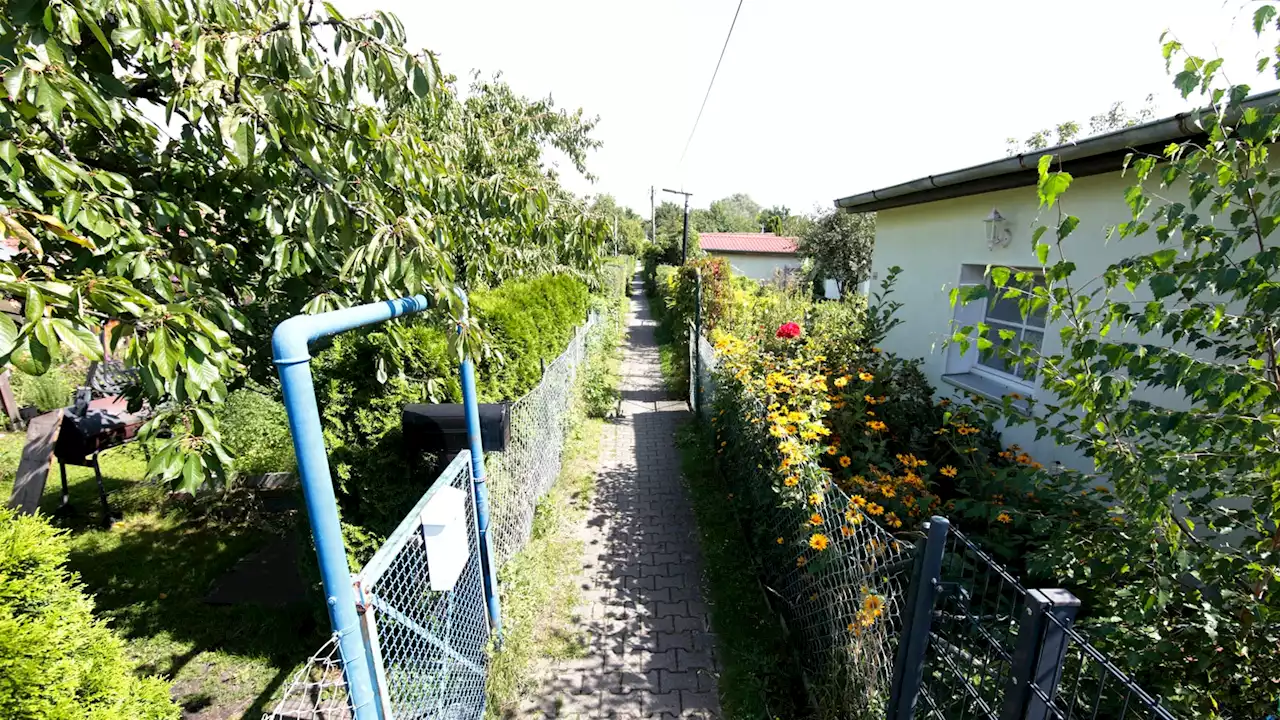 Kein Abwasser-Anschluss für Neuköllner Kleingärtner