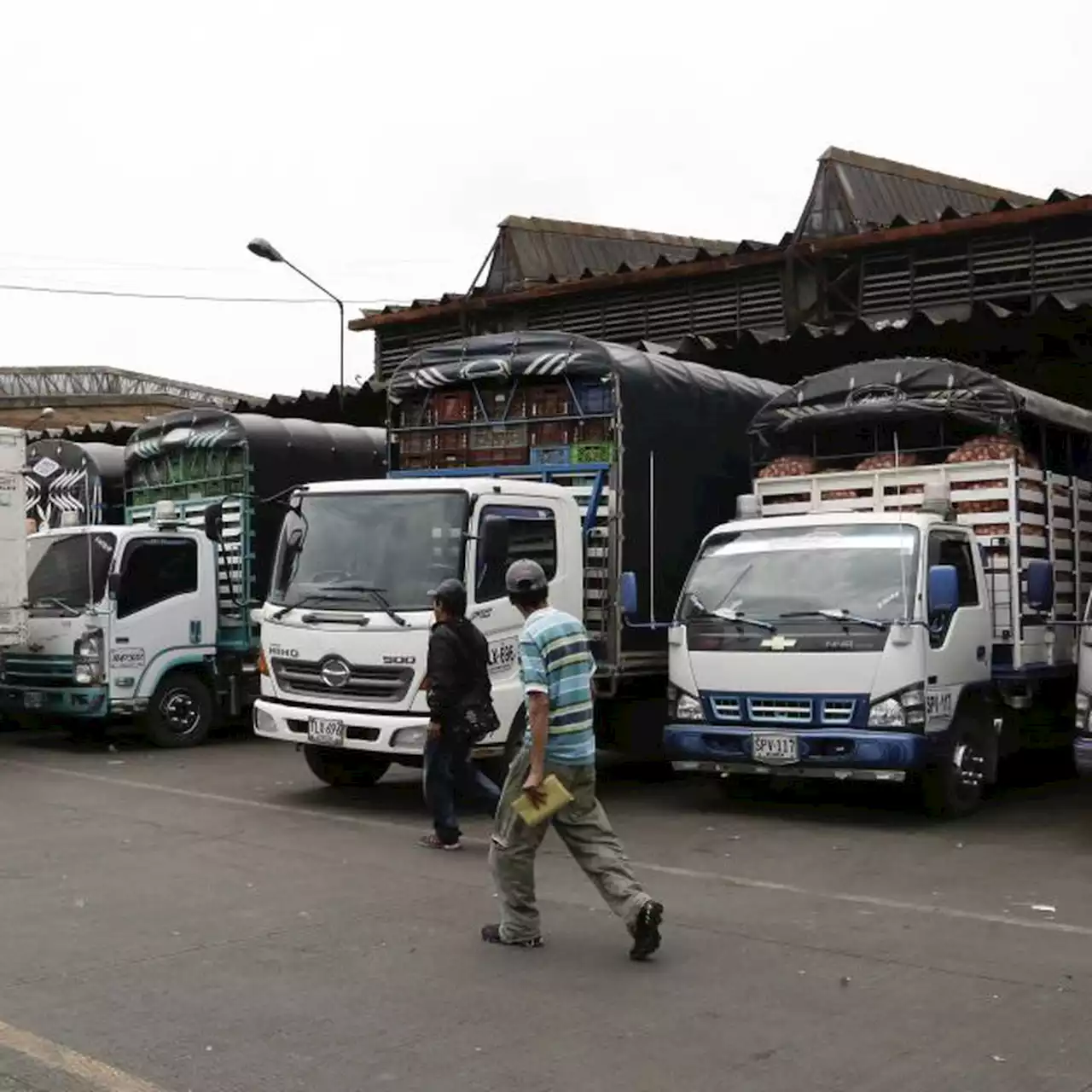 Asociación de Camioneros de Colombia en Caldas, preocupados por posible aumento del ACPM