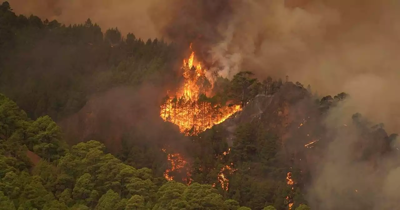 Firefighters battle heat and smoke to control major wildfire in Spain's tourist island of Tenerife