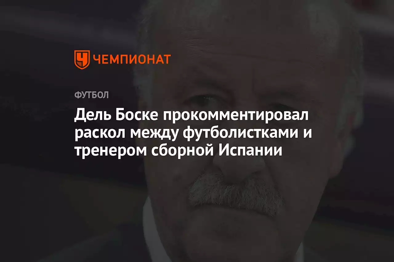 Дель Боске прокомментировал раскол между футболистками и тренером сборной Испании