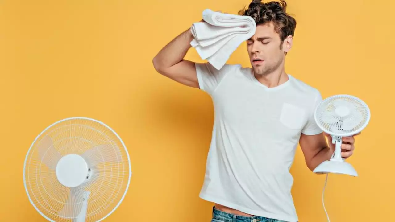 Canicule : cet accessoire permettrait de rafraîchir rapidement de 10° C sa maison