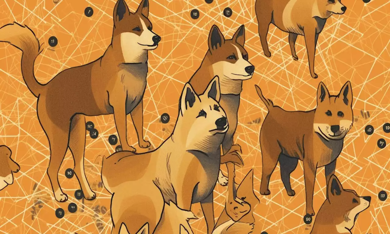 Shiba Inu: Why Shibarium’s launch failed to turn things around