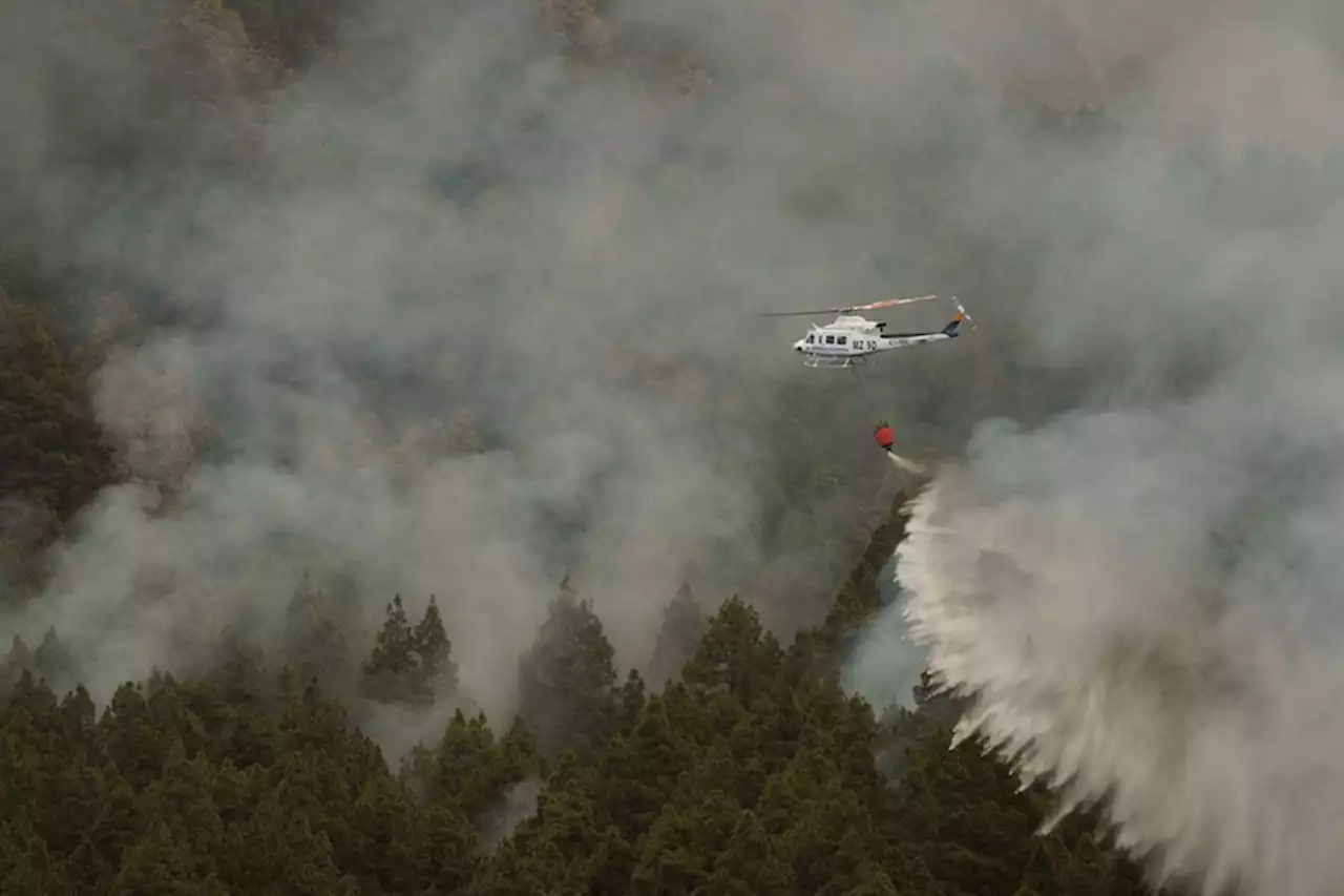 El incendio de Tenerife afecta ya a 5.000 hectáreas de diez municipios de la isla