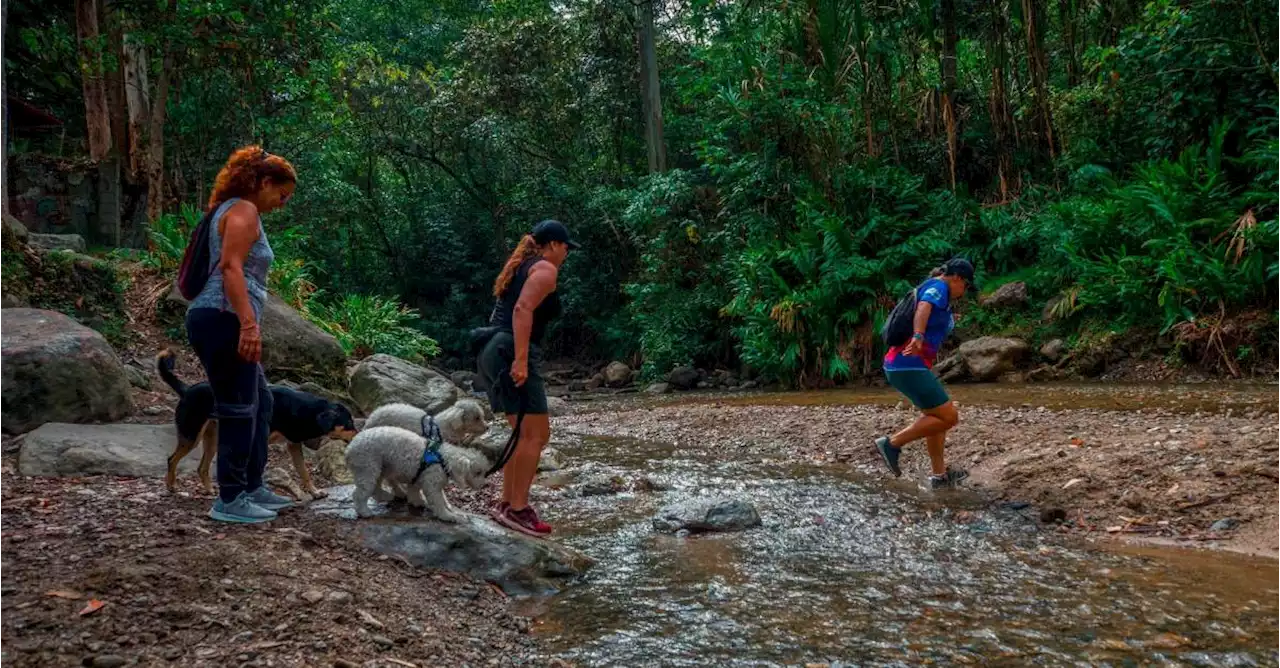 A los caminantes de los cerros y las laderas de Medellín se la montaron los ladrones