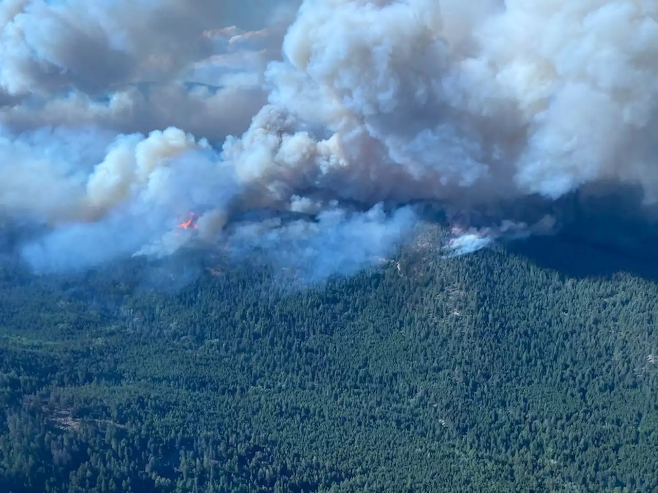 Katastrophen: Waldbrände in Kanada: British Columbia erklärt den Notstand