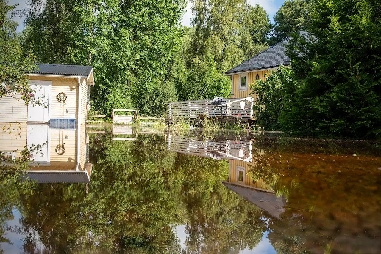 INSÄNDARE: Husägaren har personligt ansvar