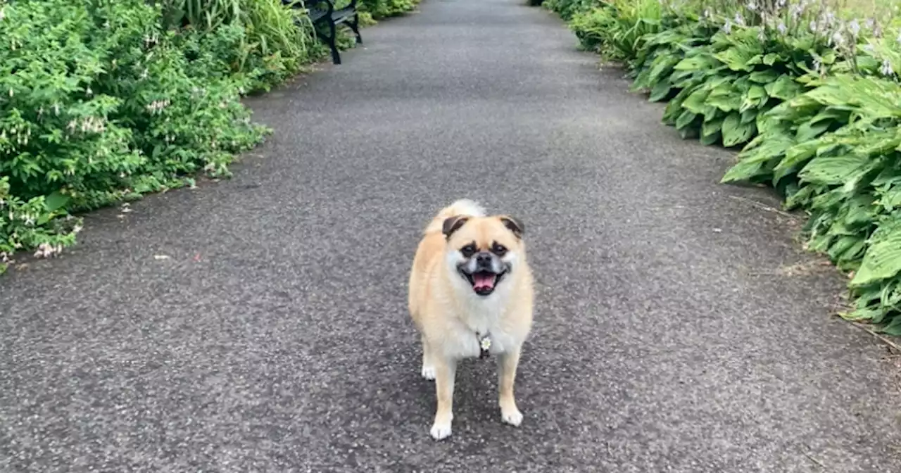 The hidden gem Glasgow park packed with nature and a wee cafe everybody loves