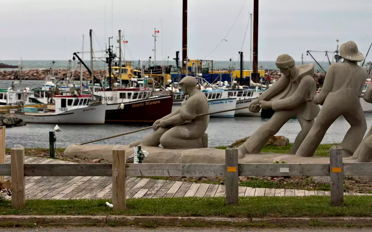 Oceanographers say warming waters in the Gulf of St. Lawrence affecting animal life