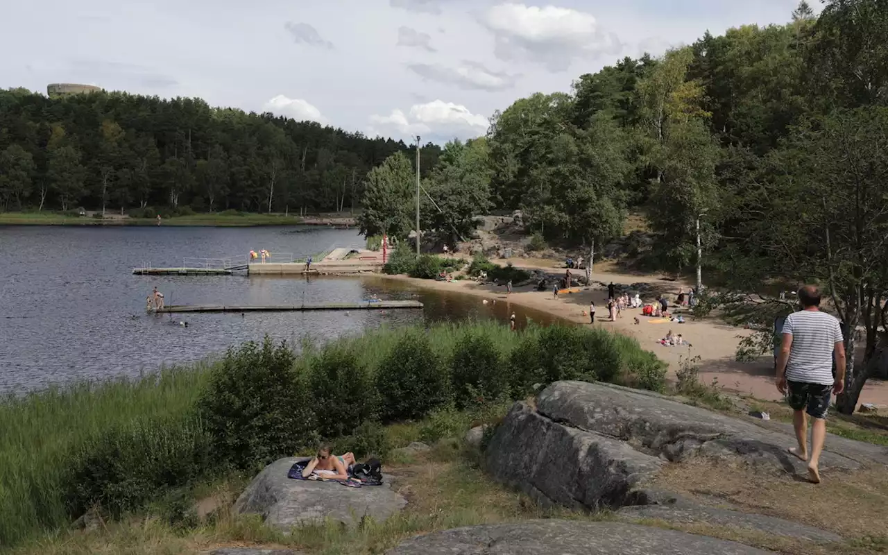 Fria ord: Dåligt val att förtäta i ett naturnära område