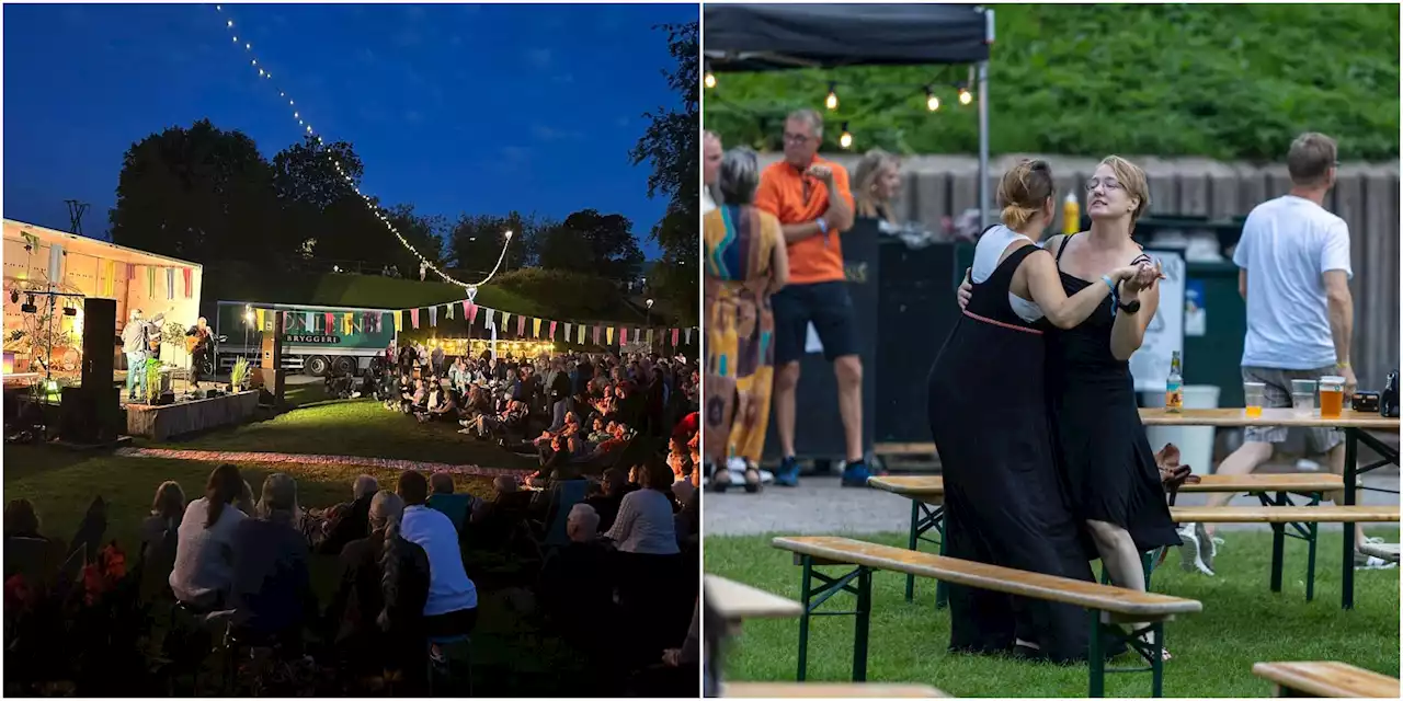 – och vakterna – myste på Rotundans festival