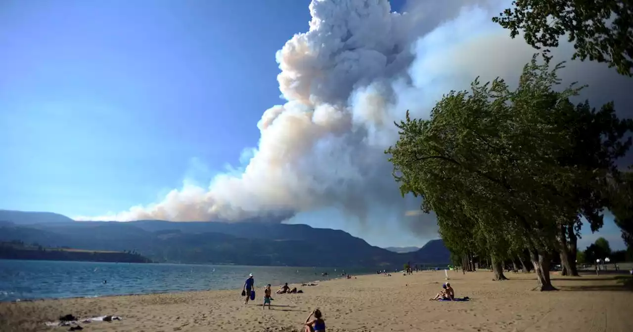 Canada’s British Columbia declares state of emergency due to wildfires