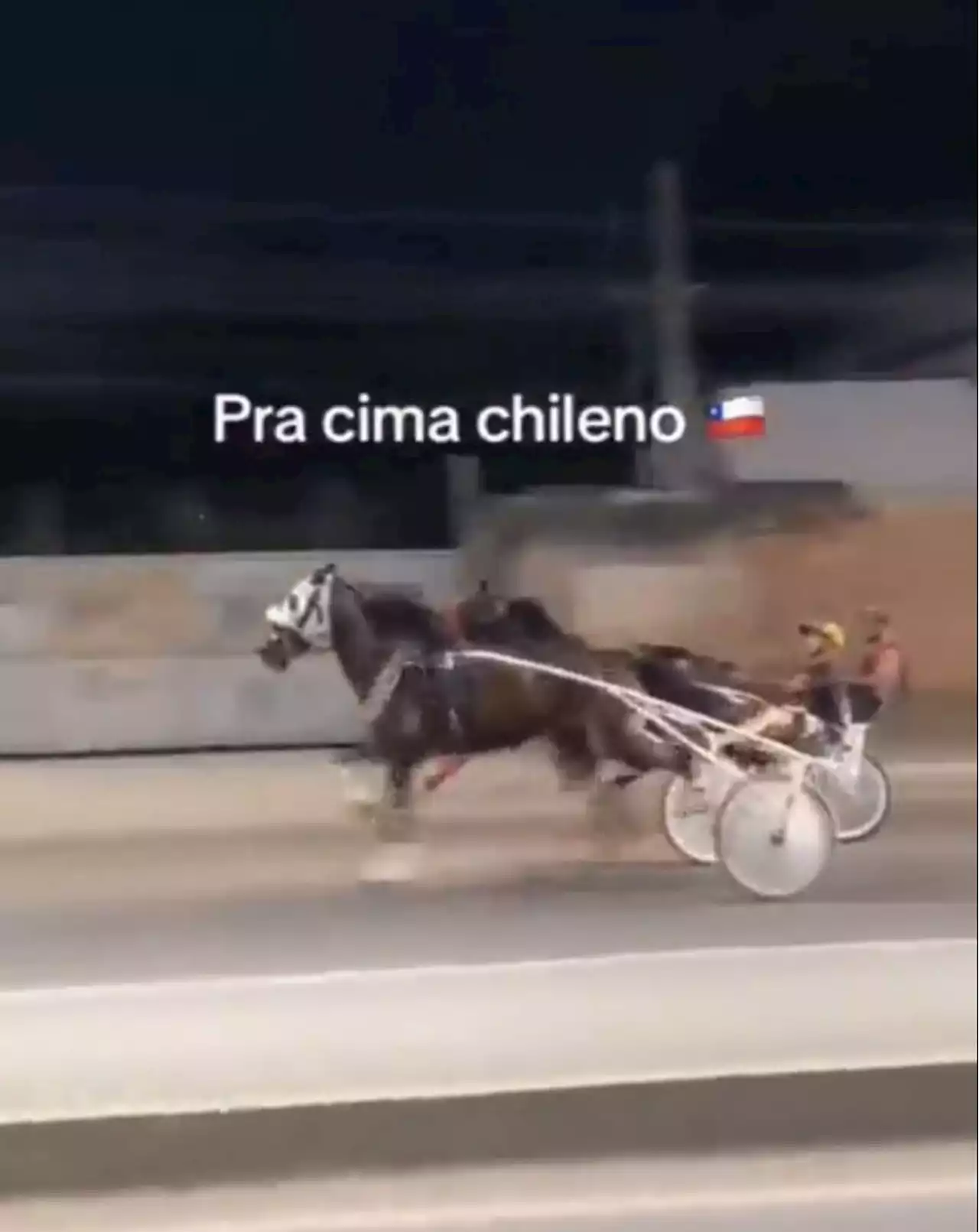 Polícia Civil abre investigação para apurar corrida de cavalos em Duque de Caxias