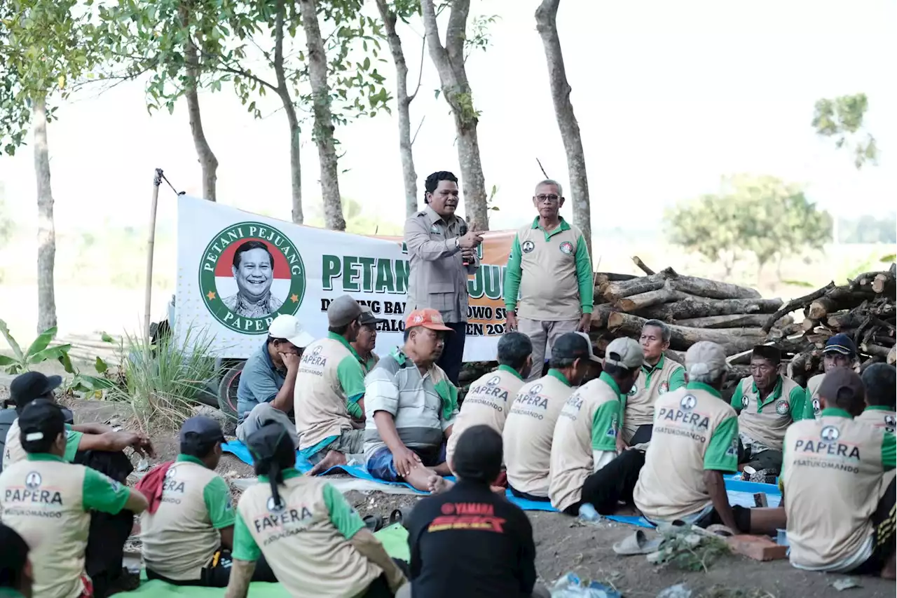 Petani Yakin Bakal Makmur di Bawah Presiden Prabowo Subianto, Pupuk Murah dan Melimpah