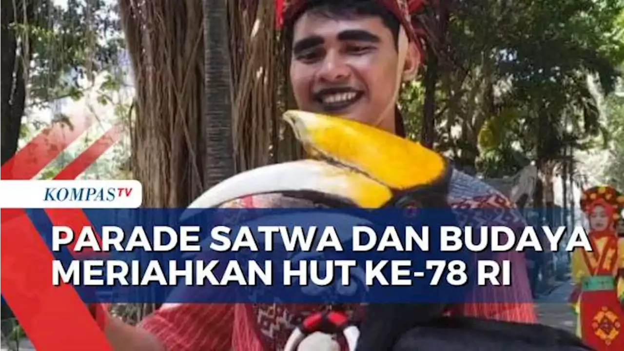 Meriahkan HUT ke-78 RI, Kebun Binatang Surabaya Gelar Parade Satwa dan Parade Budaya