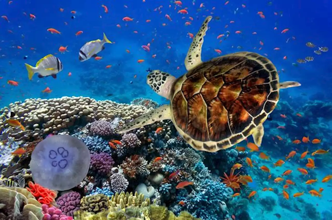 Biodiversité : dernières actualités et informations