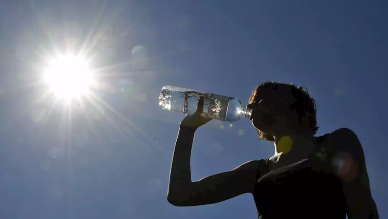 Canicule : 7 départements du Sud-Ouest placés en alerte par Météo France dès midi