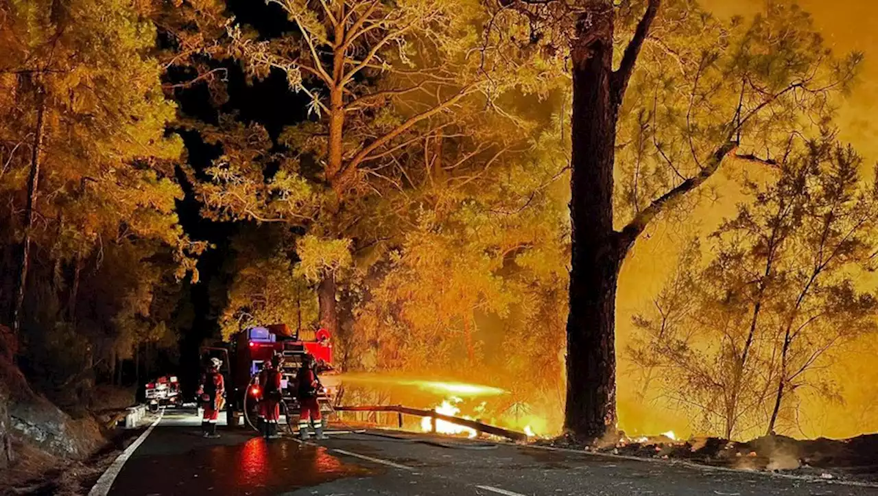 Incendies aux Canaries : 26 000 personnes évacuées de Tenerife, les flammes toujours pas maîtrisées