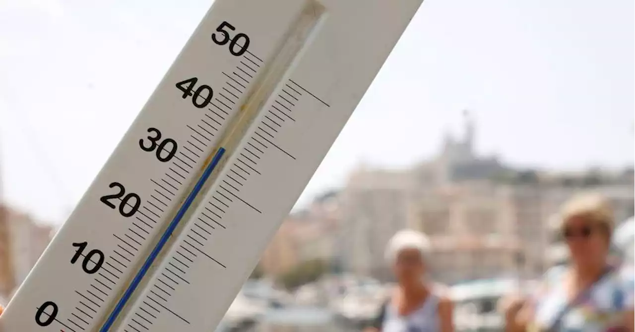 Météo en Provence : grand soleil et températures éprouvantes ce samedi