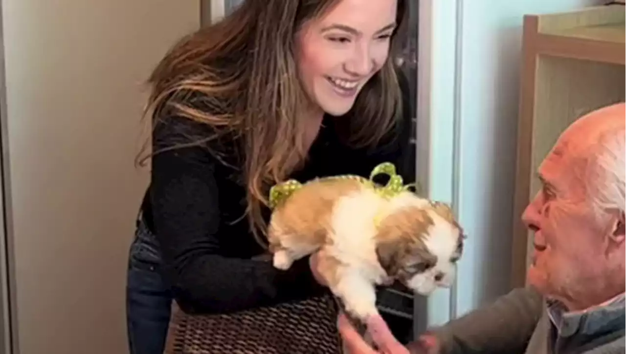 La dolcezza di un cucciolo di cane trasforma le lacrime di tristezza di un nonno in lutto in un pianto di gioia