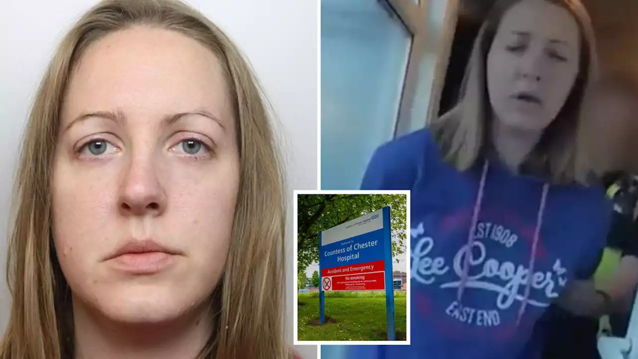 Doctors who raised concerns over Lucy Letby were ordered to apologise – as probe launched into handling of the case