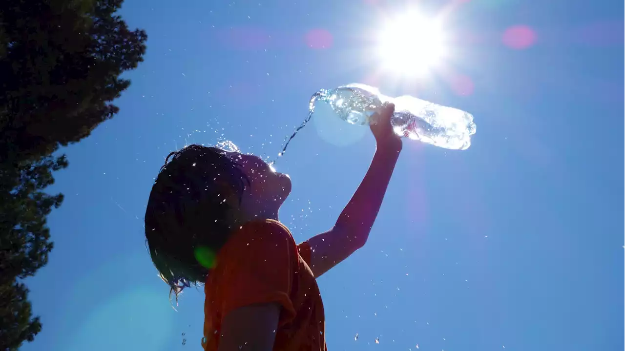 28 départements en alerte orange canicule, à quoi va ressembler la météo de ce week-end