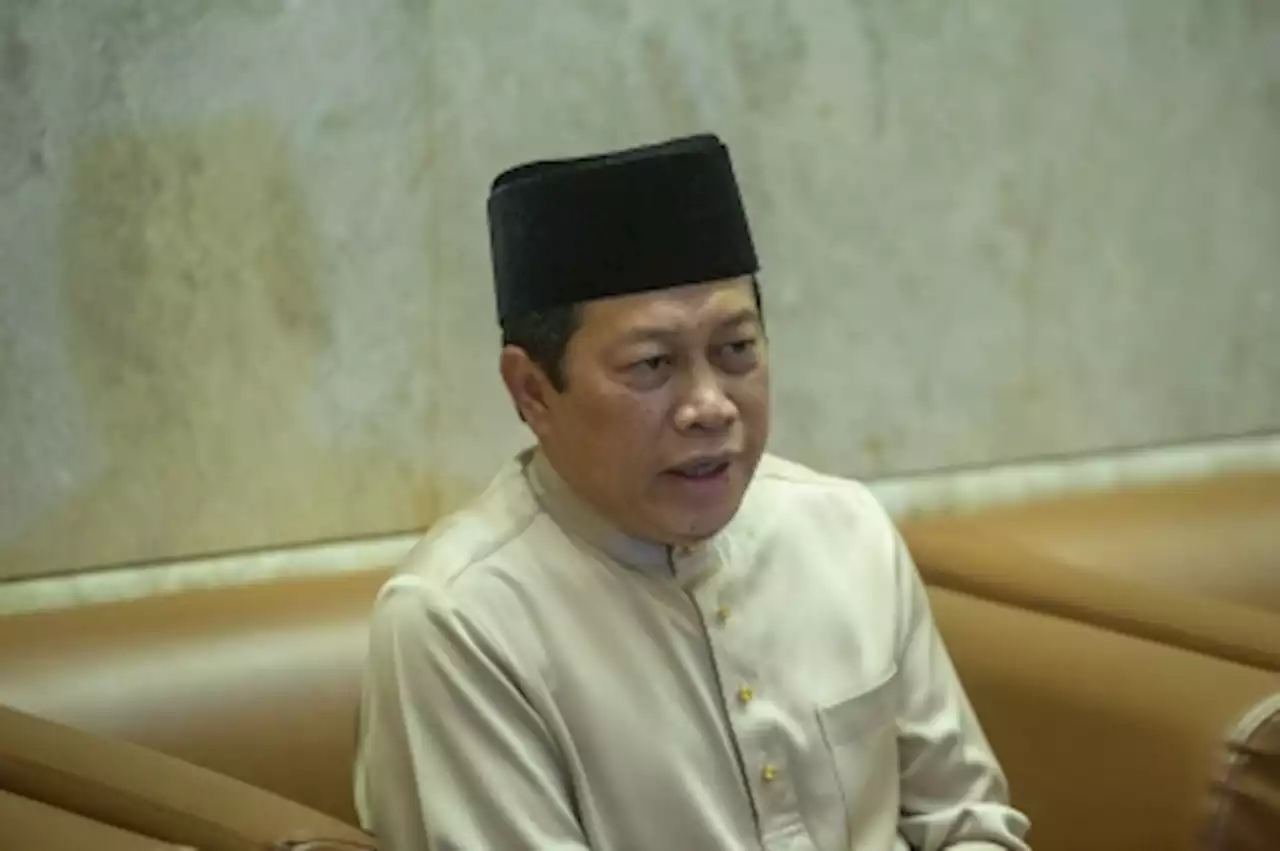 BN to explain decision to join unity govt, says Ahmad Maslan