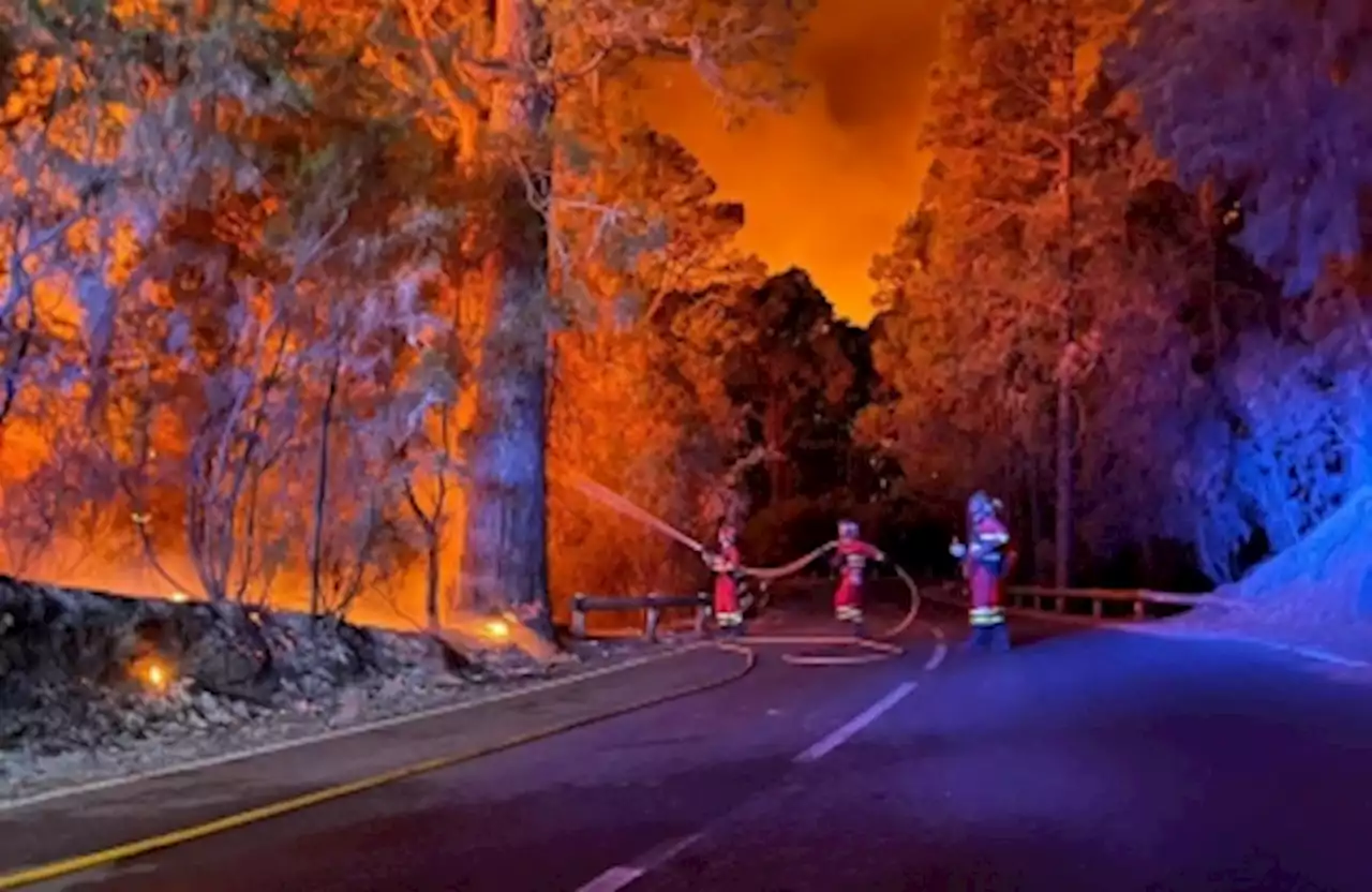 Spain firefighters make gains in battle against Tenerife blaze