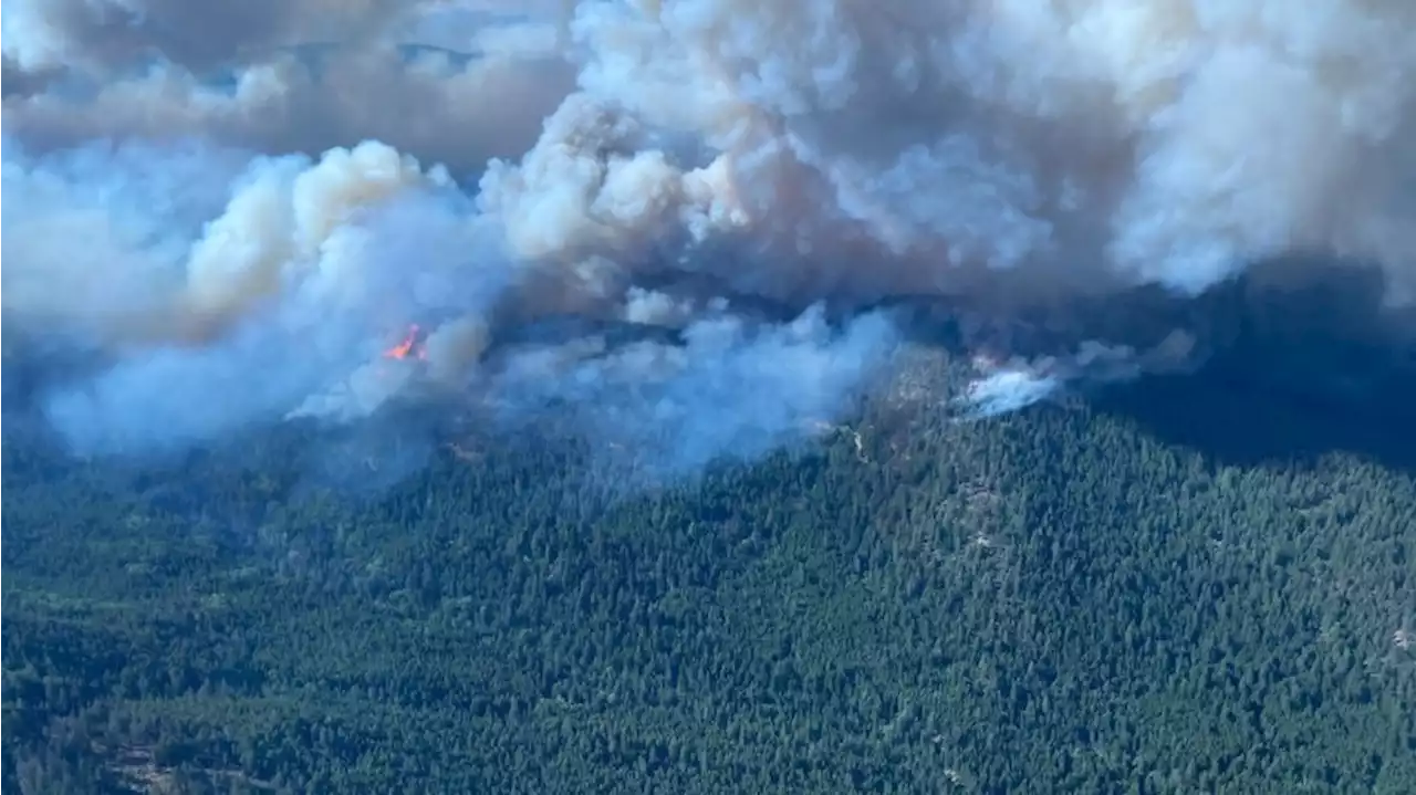 Waldbrände in Kanada: British Columbia erklärt den Notstand