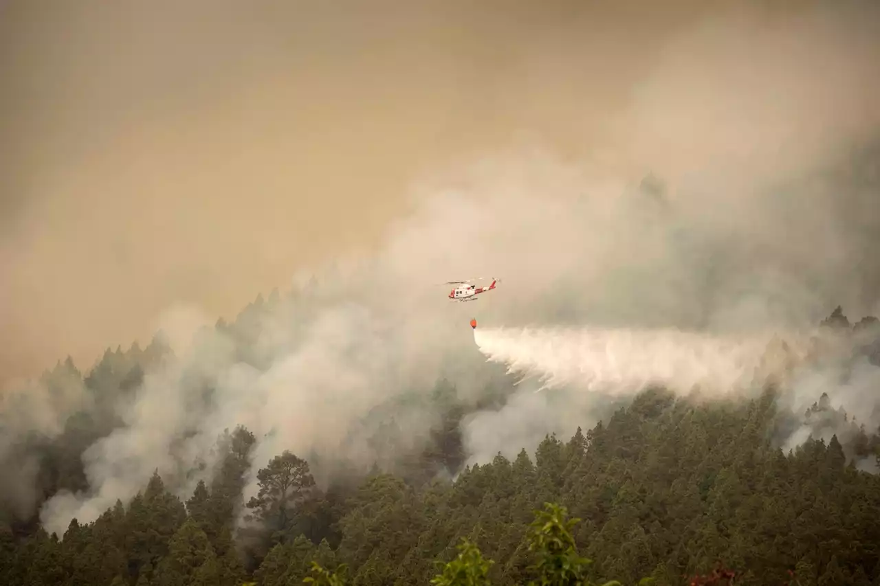 Waldbrand auf Teneriffa erfasste bereits 5000 Hektar Natur