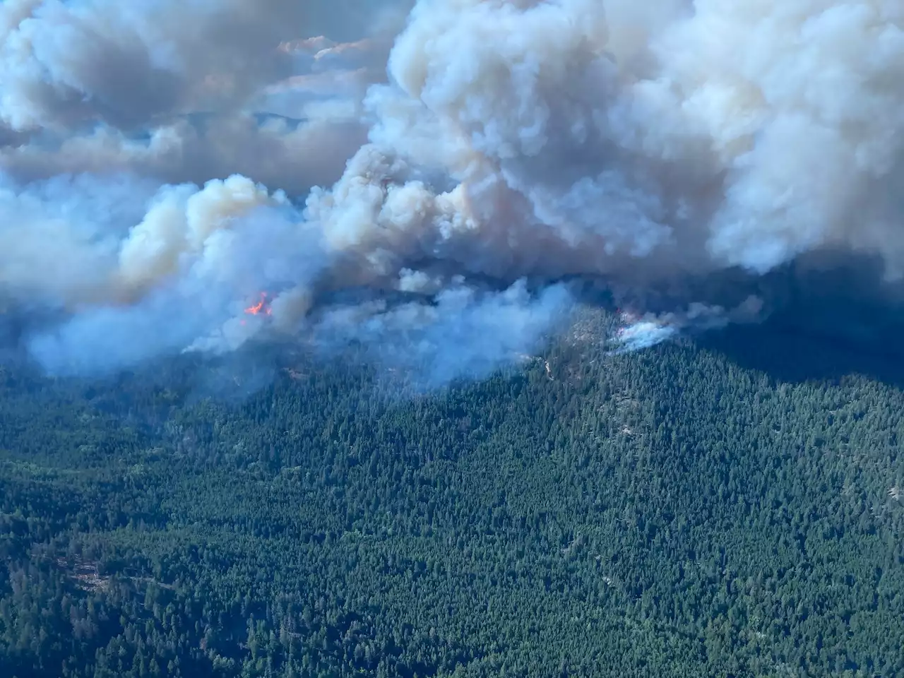 Waldbrände in Kanada: British Columbia erklärt den Notstand