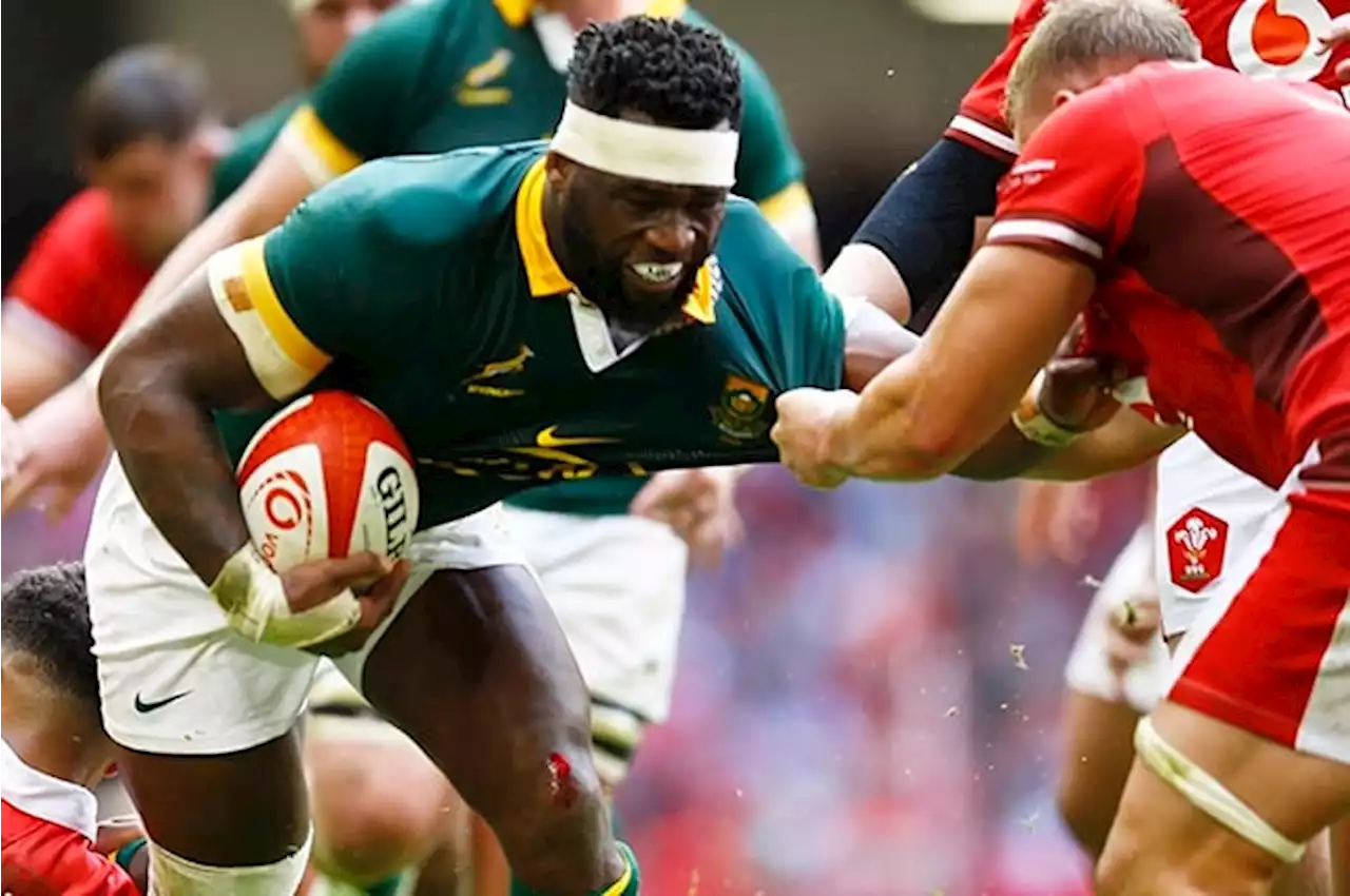 Bok ratings: Kolisi colossal in his timely comeback