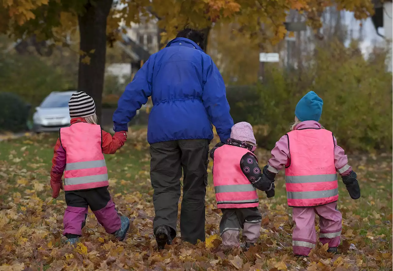 Färre vill bli förskollärare